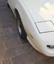 Pontiac Firebird 5.0 V8 Trans Am Cabrio Bianco - thumbnail 7