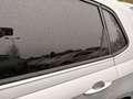 Volkswagen Polo 1.0 TSI Life Business OPF - thumbnail 10