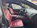 Lexus NX 450h+ 2.5 phev Luxury 4wd 309cv e-cvt UNICO PROPRIETARIO Grau - thumbnail 11