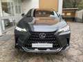 Lexus NX 450h+ 2.5 phev Luxury 4wd 309cv e-cvt UNICO PROPRIETARIO Grau - thumbnail 2