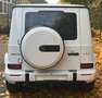 Mercedes-Benz G 63 AMG "MJ 2026 + A22 + Carbon + Rear Entert. Weiß - thumbnail 10