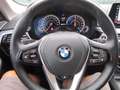 BMW 530 eA i Performance PROF NAVI + LEDER + LED + ASSIST Zilver - thumbnail 19