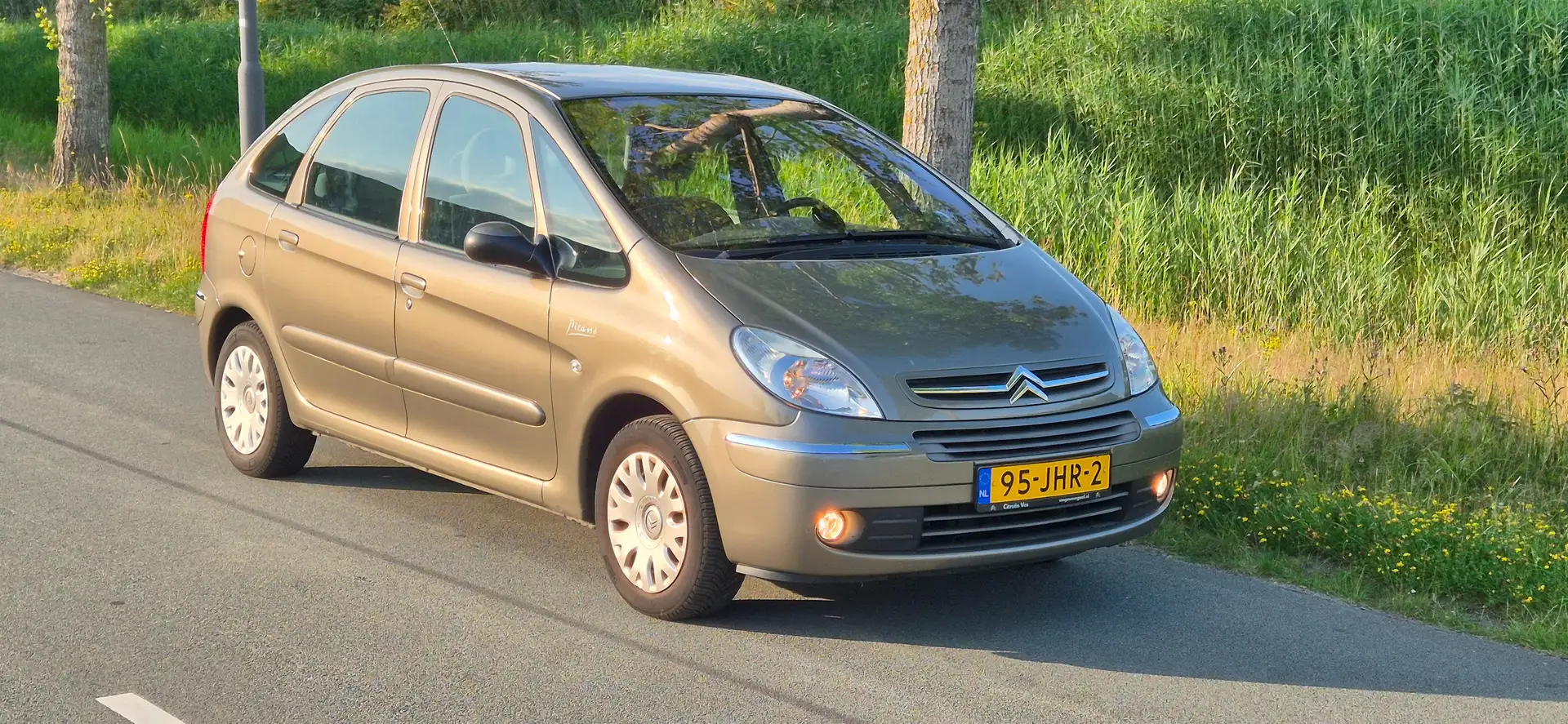 Citroen Xsara Picasso 1.6-16v Brown - 1