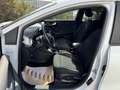 Ford Puma Hybrid Titanium Steuerkette * EXTRAS* Service NEU Bianco - thumbnail 8