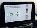 Ford Puma Hybrid Titanium Steuerkette * EXTRAS* Service NEU Bianco - thumbnail 16