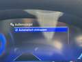 Ford Puma Hybrid Titanium Steuerkette * EXTRAS* Service NEU Bianco - thumbnail 33