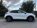 Ford Puma Hybrid Titanium Steuerkette * EXTRAS* Service NEU Bianco - thumbnail 2