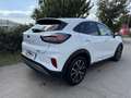Ford Puma Hybrid Titanium Steuerkette * EXTRAS* Service NEU Bianco - thumbnail 3