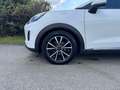 Ford Puma Hybrid Titanium Steuerkette * EXTRAS* Service NEU Bianco - thumbnail 24