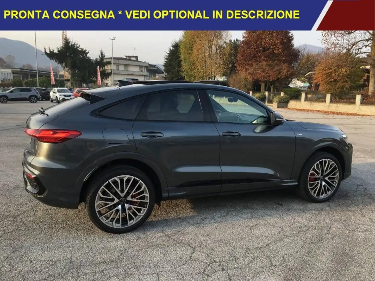 Audi Q5 SPB TDI 150 kW MHEV+ S Tronic Quattro S Line Edit. S-LINE Grau - 2