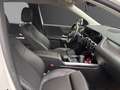 Mercedes-Benz CL Progressive Line Edition bijela - thumbnail 13