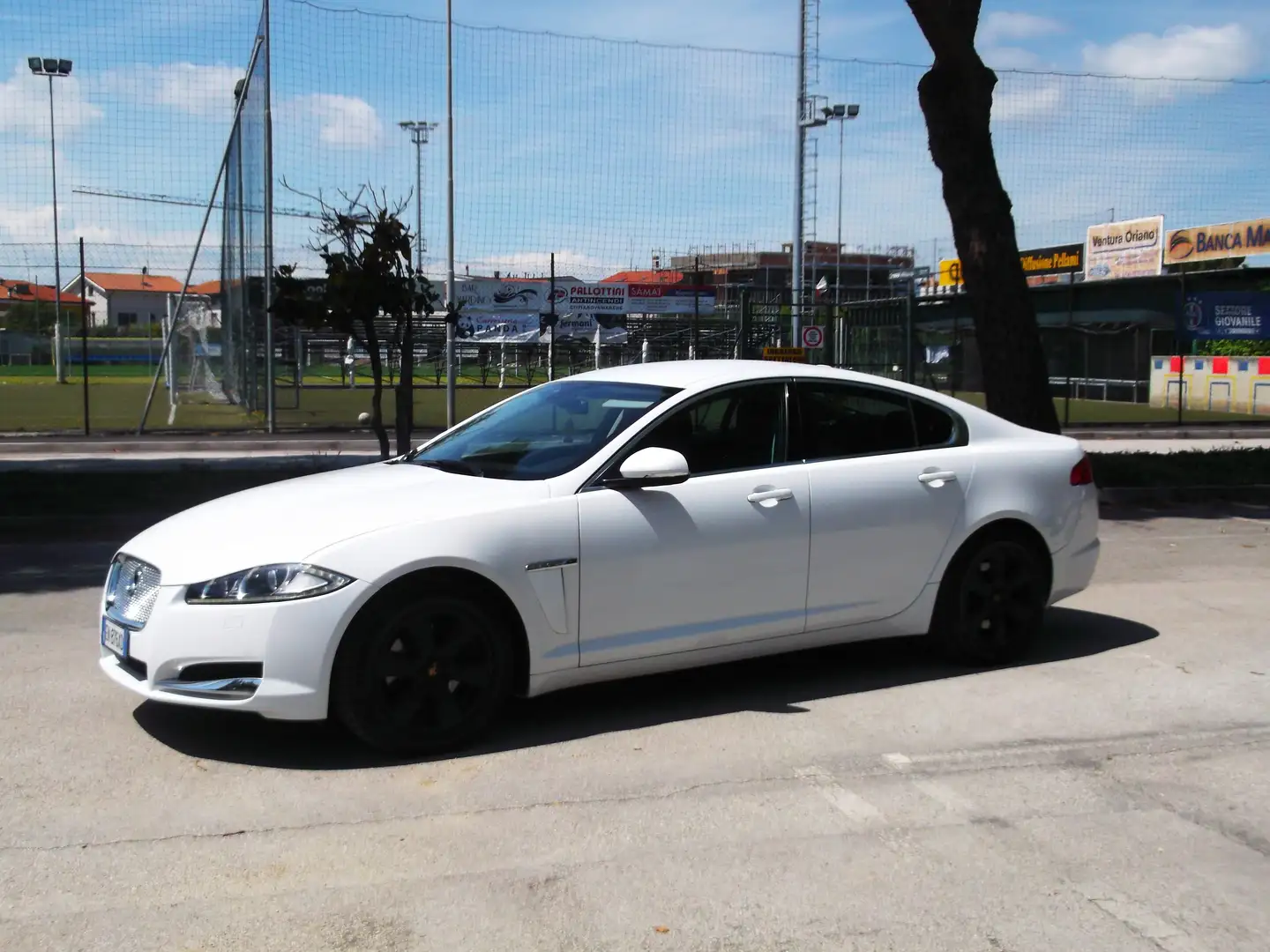 Jaguar XF XF 2.2 cdi Berlina 2012 Full Biały - 1