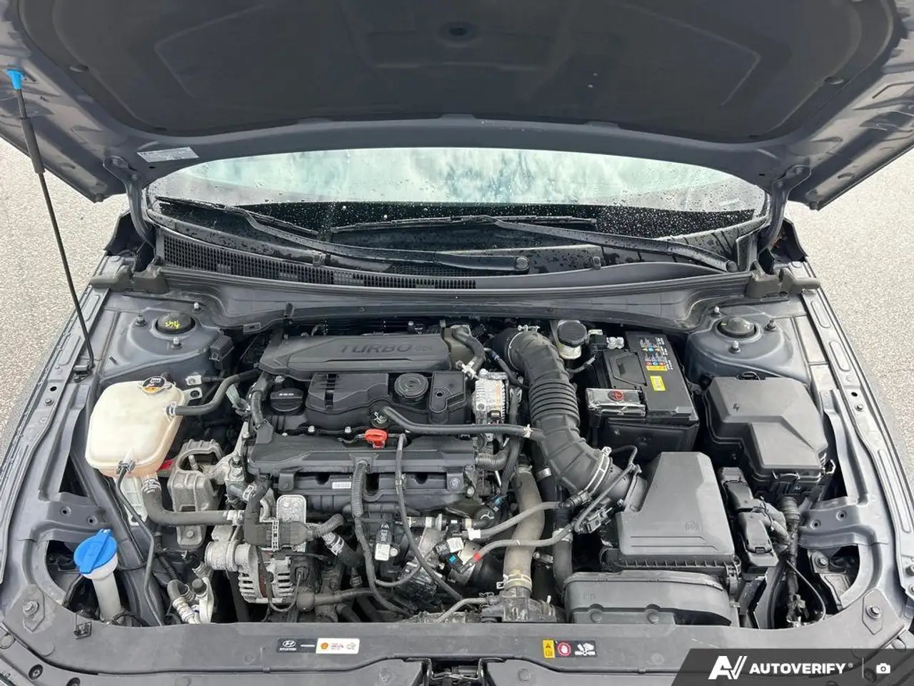 Hyundai ELANTRA снимка Hyundai ELANTRA