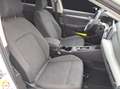 Volkswagen Golf VIII TDI Life DSG LED Navi AID ACC PDC SH Weiß - thumbnail 14