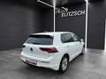 Volkswagen Golf VIII TDI Life DSG LED Navi AID ACC PDC SH Weiß - thumbnail 6