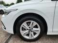 Volkswagen Golf VIII TDI Life DSG LED Navi AID ACC PDC SH Weiß - thumbnail 10