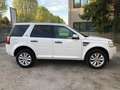 Land Rover Freelander SD4 Aut. SE - thumbnail 14