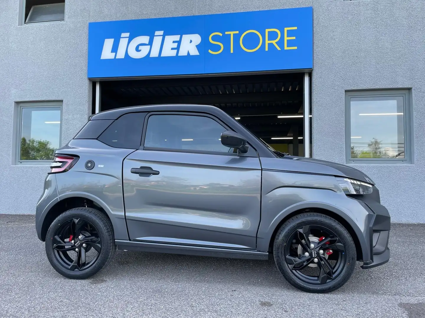 Ligier JS 50 ELITE Grau - 2