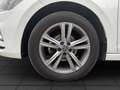 Volkswagen Polo 1,0l TSI Comfortline 7-Gang DSG Radio/ Navi, Klima Bianco - thumbnail 20