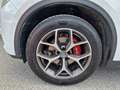 Alfa Romeo Stelvio Super 2.0 ATX AWD FAP Xenon RKam DAB - thumbnail 27