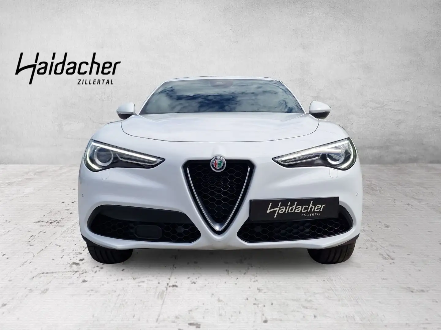 Alfa Romeo Stelvio Super 2.0 ATX AWD FAP Xenon RKam DAB - 2
