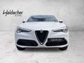 Alfa Romeo Stelvio Super 2.0 ATX AWD FAP Xenon RKam DAB - thumbnail 2