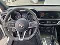 Alfa Romeo Stelvio Super 2.0 ATX AWD FAP Xenon RKam DAB - thumbnail 10