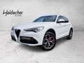 Alfa Romeo Stelvio Super 2.0 ATX AWD FAP Xenon RKam DAB - thumbnail 1