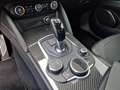 Alfa Romeo Stelvio Super 2.0 ATX AWD FAP Xenon RKam DAB - thumbnail 14