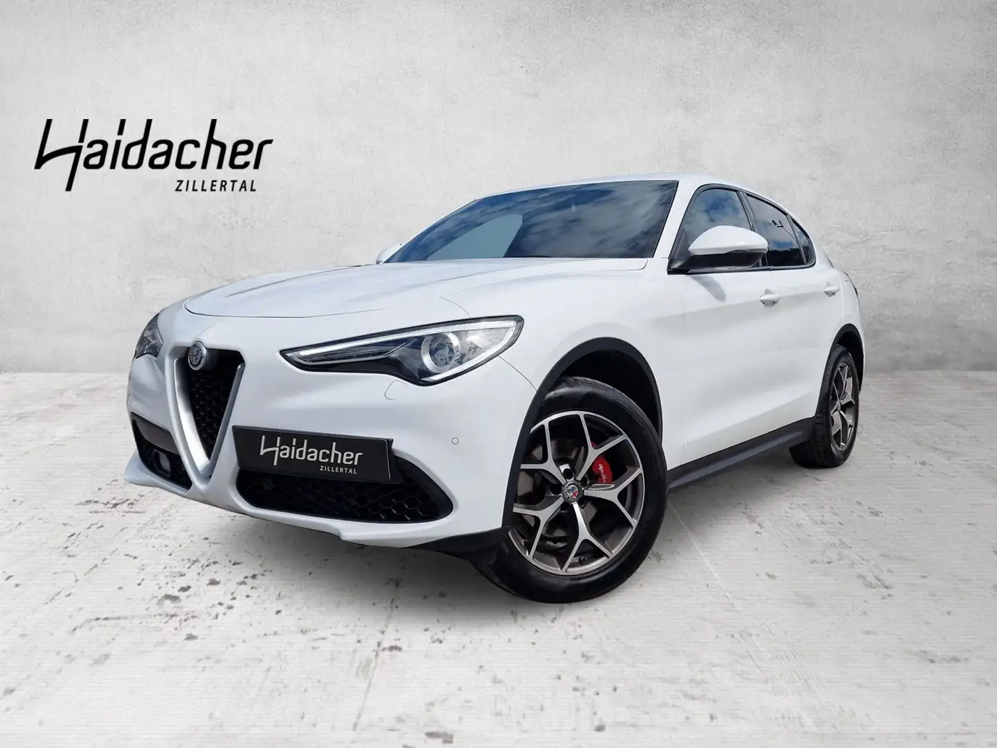 Alfa Romeo Stelvio Super 2.0 ATX AWD FAP Xenon RKam DAB - 1