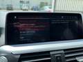 BMW X4 X4 xdrive30d Business Advantage 265cv auto Grau - thumbnail 24