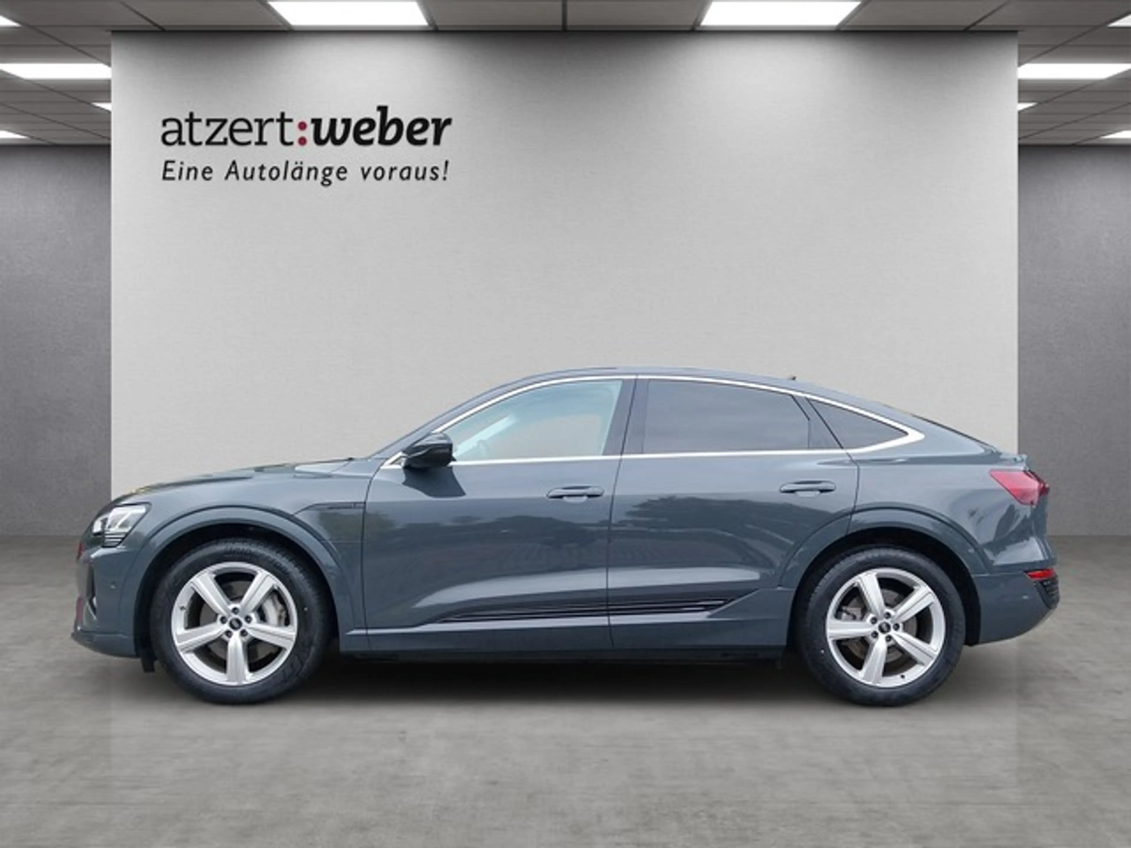Audi Q8 e-tron Sportback 50 advanced quattro Kamera — photo 4
