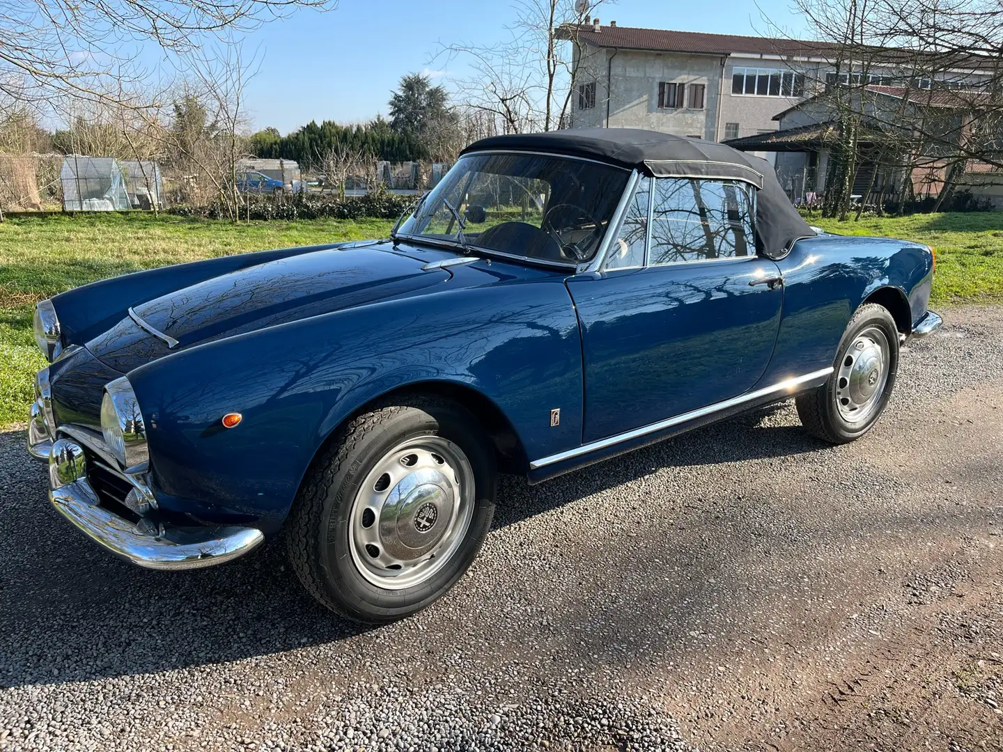 Alfa Romeo Giulia Spider Blauw - 1
