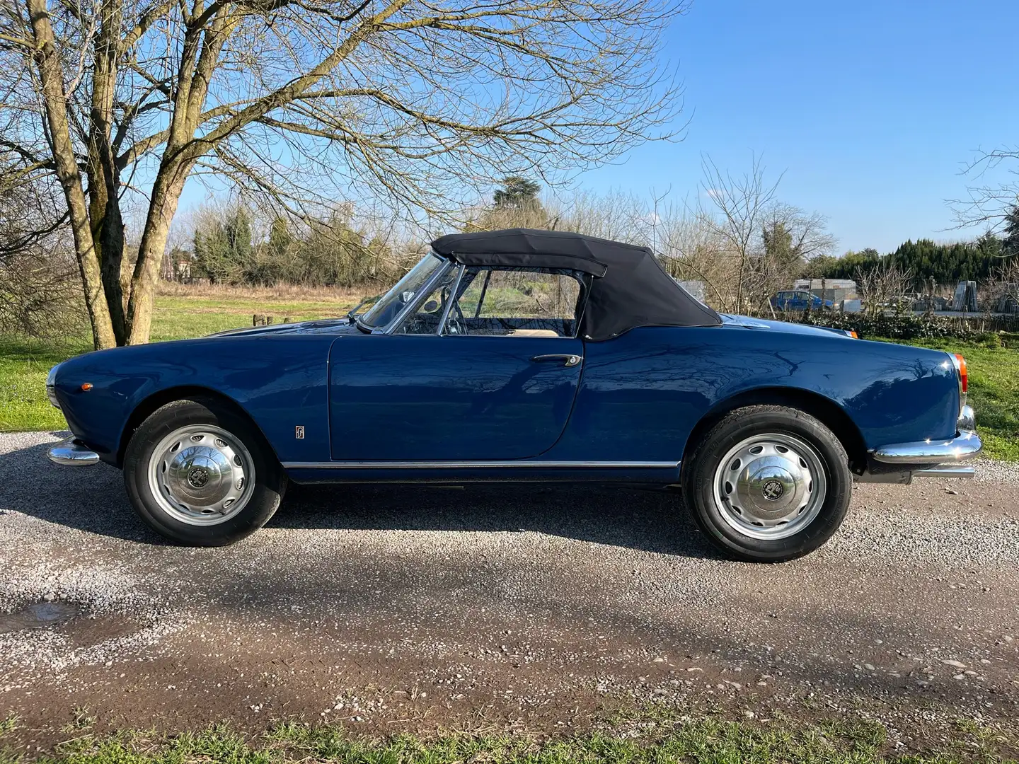 Alfa Romeo Giulia Spider Blauw - 2