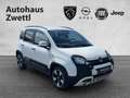 Fiat Panda /Pandina Cross Look Hybrid 70 Weiß - thumbnail 8