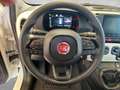Fiat Panda /Pandina Cross Look Hybrid 70 Weiß - thumbnail 10