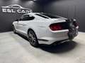 Ford Mustang Réservé Wit - thumbnail 6