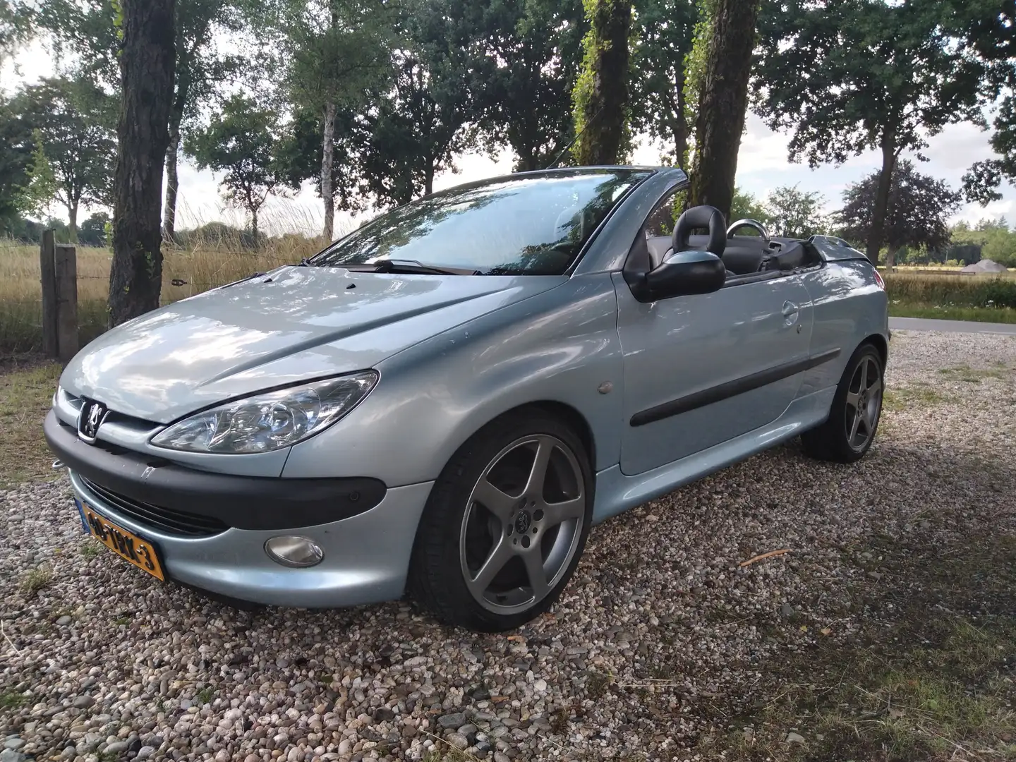 Peugeot 206 206 1.6-16V Grijs - 2