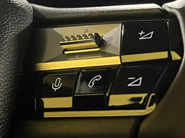 DS Automobiles DS 4 view 29