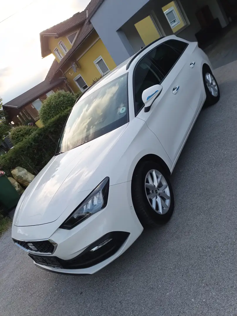 SEAT Leon SP 1,0 TSI Austria Edition Style Weiß - 1
