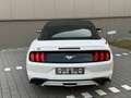 Ford Mustang 2.3 EcoBoost Blanc - thumbnail 5