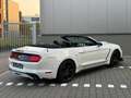 Ford Mustang 2.3 EcoBoost Blanc - thumbnail 10