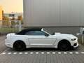 Ford Mustang 2.3 EcoBoost Blanc - thumbnail 8