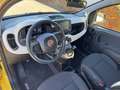 Fiat Panda Pandina MHEV Žlutá - thumbnail 10