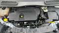 Ford Kuga 2.0 TDCi 120cv Titanium 2WD S&S E6 Blanc - thumbnail 23