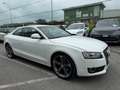 Audi A5 2.7 V6 tdi Ambition multitronic Bianco - thumbnail 3