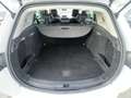 Renault Megane III (B95) 2.0 dCi 160ch GT BVM6 1erMain GPS Weiß - thumbnail 19