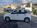 Fiat Panda Panda III 2012 1.2 Pop 69cv E6 Bianco - thumbnail 12
