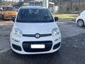 Fiat Panda Panda III 2012 1.2 Pop 69cv E6 Bianco - thumbnail 14