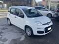 Fiat Panda Panda III 2012 1.2 Pop 69cv E6 Bianco - thumbnail 4